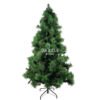 Aurelius Grande Christmas tree
