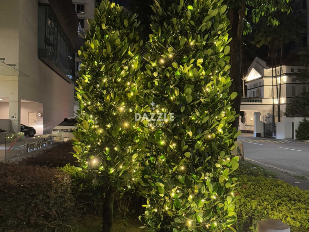 LED Lights Outdoor